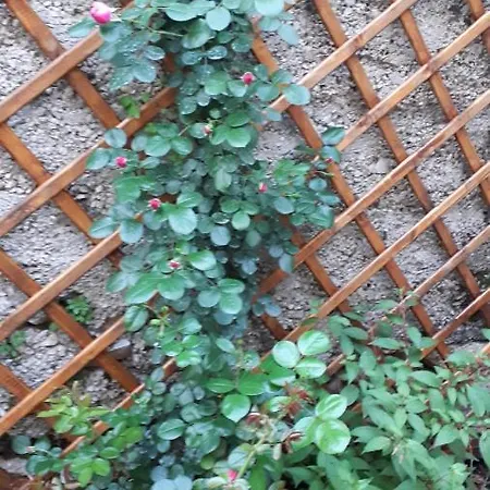 Hidden Gem Апартаменты Шибеник