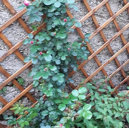 Hidden Gem Appartamento Šibenik